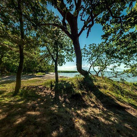 traumHaff Küstenchalets - einzigartige Chalets an der Ostsee. Ganz aus Lärchenholz mit Kamin und Sauna Vogelsang-Warsin Exterior foto