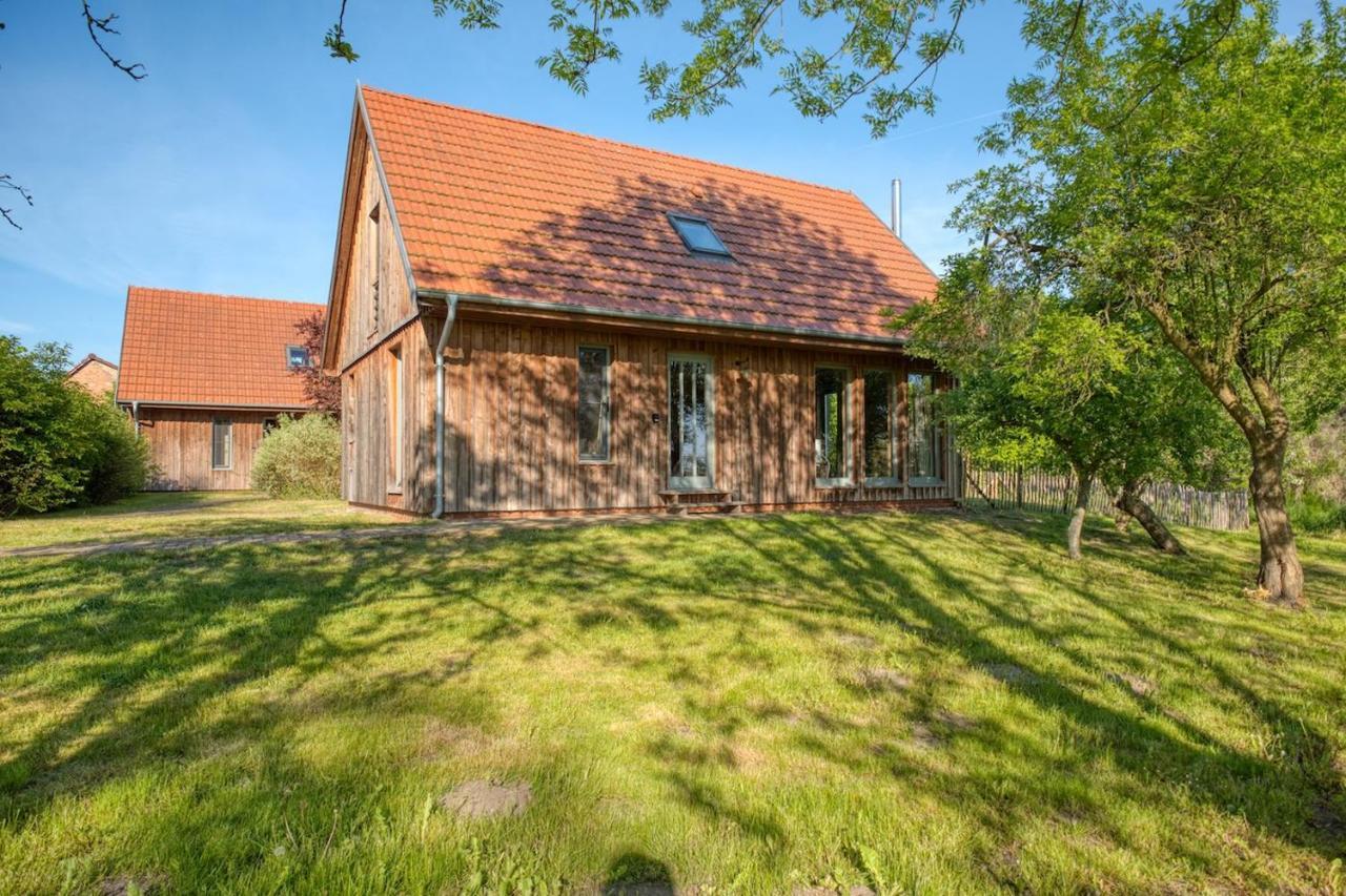 traumHaff Küstenchalets - einzigartige Chalets an der Ostsee. Ganz aus Lärchenholz mit Kamin und Sauna Vogelsang-Warsin Exterior foto
